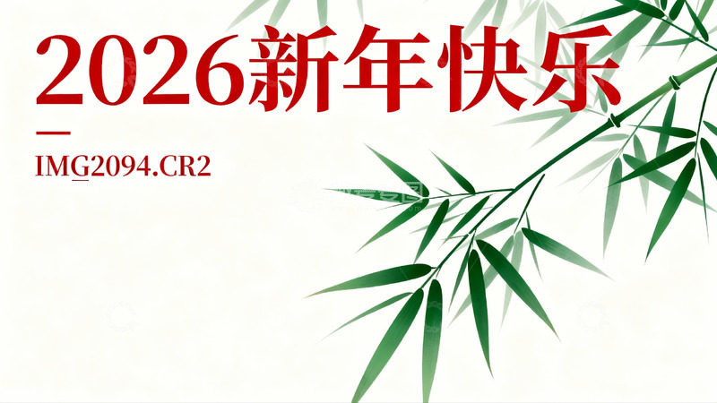 高清大图下载【趣麦麦图】新年祝福竹叶图案设计