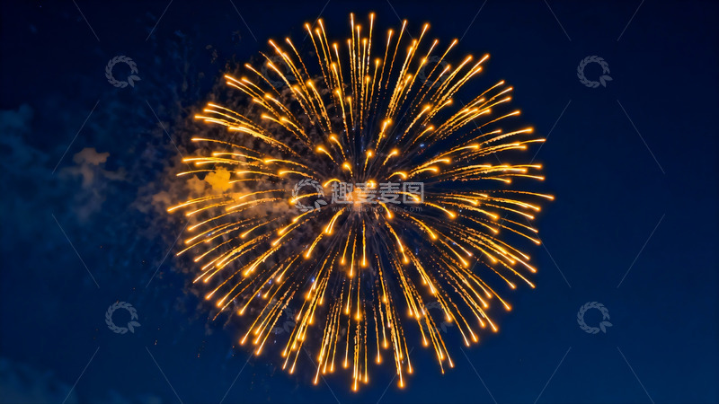 高清大图下载【趣麦麦图】夜空中绽放的金色烟花