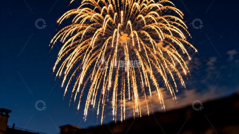 高清大图下载【趣麦麦图】夜空烟花绽放绚丽景象
