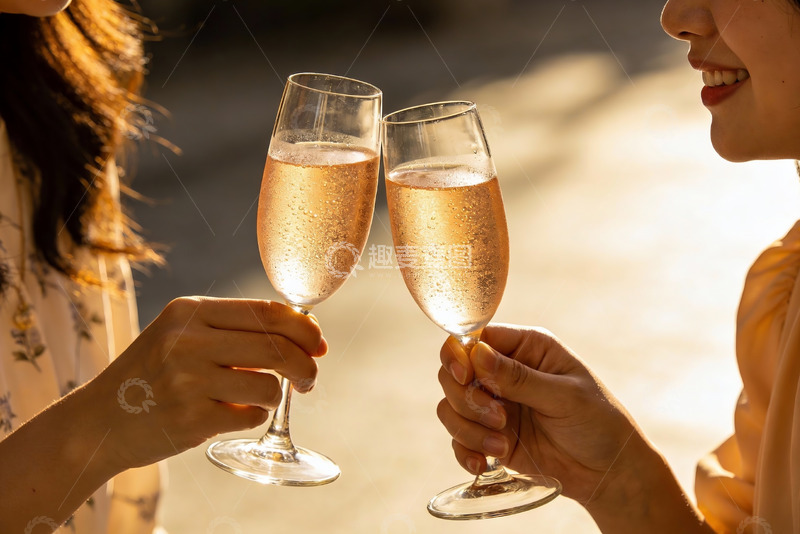 高清大图下载【趣麦麦图】两人举杯庆祝香槟