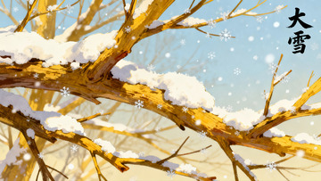 冬日树枝积雪美景