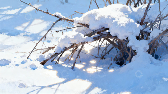 雪覆枯枝冬日静景