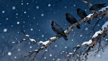 雪夜树枝上的乌鸦群