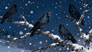 雪夜树枝上的四只乌鸦