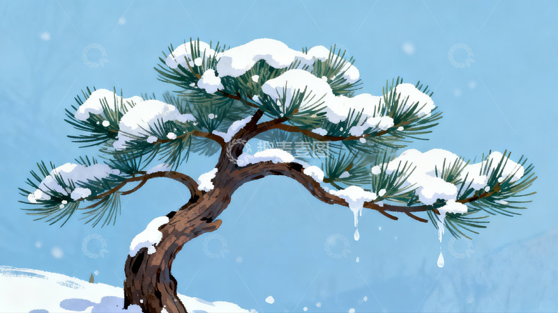 高清大图下载【趣麦麦图】雪覆松枝冬日静景