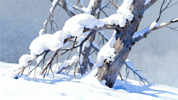 雪覆树枝冬日静景