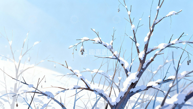 雪覆枯枝蓝天映衬冬日静景