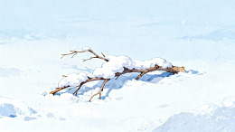 雪覆枯枝静谧冬景