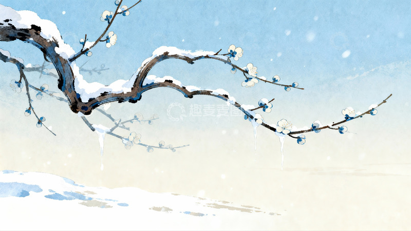 高清大图下载【趣麦麦图】雪覆梅枝冬日景象