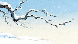 雪覆梅枝冬日景象