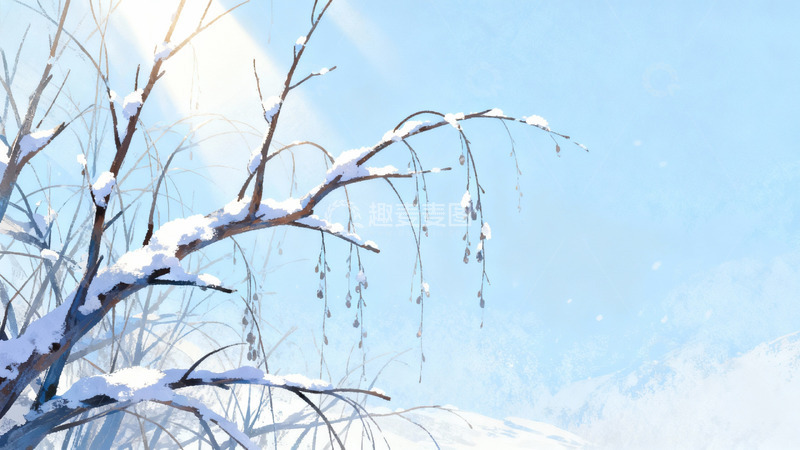 高清大图下载【趣麦麦图】雪覆枝头冬日静景