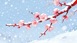 雪中绽放的粉色梅花