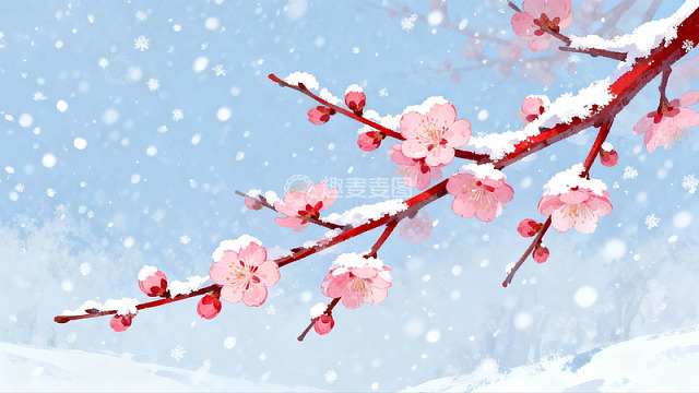 雪中绽放的粉色梅花