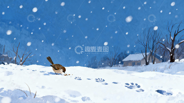 雪地小鸟觅食冬日静景