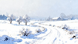 雪景小路蜿蜒乡村