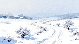 雪景小路蜿蜒乡村