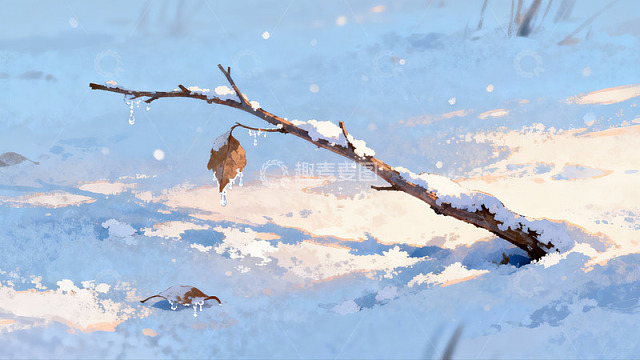 雪地枯枝落叶静景