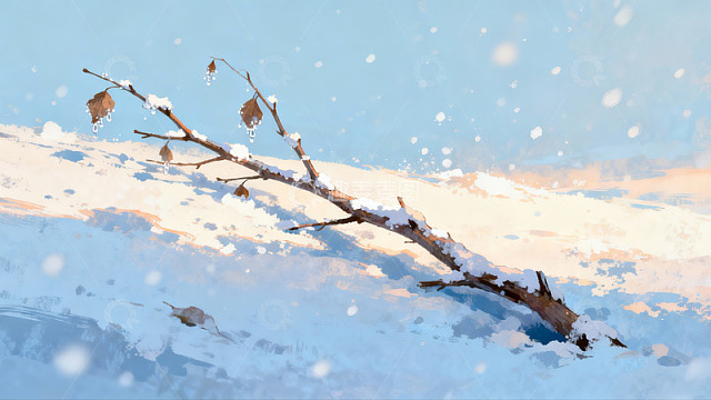 雪中枯枝静景