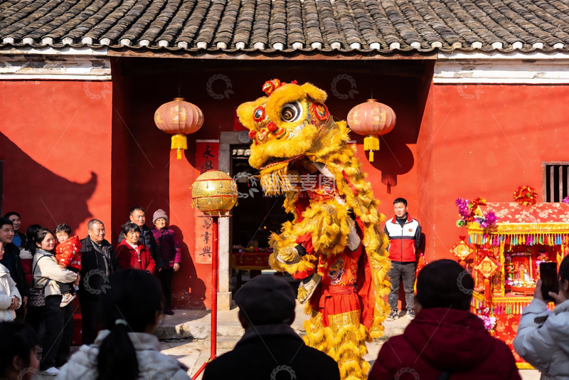 高清大图下载【趣麦麦图】传统舞狮表演热闹非凡