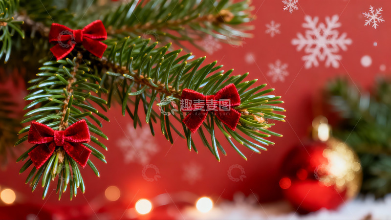 高清大图下载【趣麦麦图】圣诞松枝系红蝴蝶结