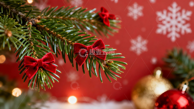 高清大图下载【趣麦麦图】圣诞松枝红蝴蝶结装饰
