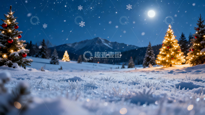 高清大图下载【趣麦麦图】雪夜圣诞树星空美景
