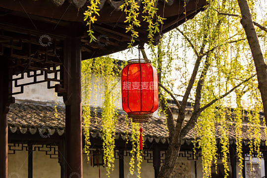 古建筑前红灯笼与垂柳