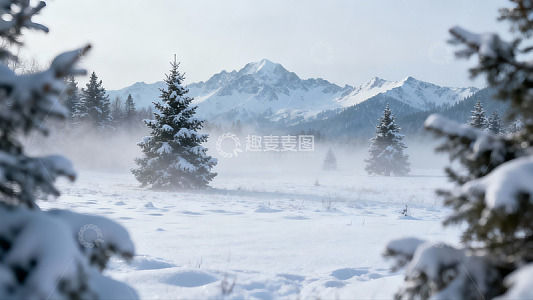 雪覆山林雾气缭绕冬日景象