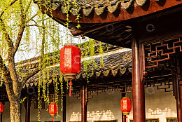 古建筑前红灯笼与垂柳