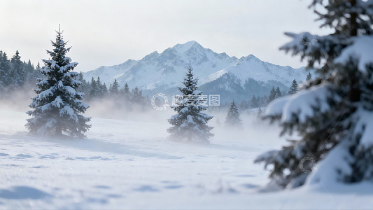 雪覆山林雾气缭绕冬日景象