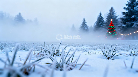 雪地圣诞树雾气弥漫
