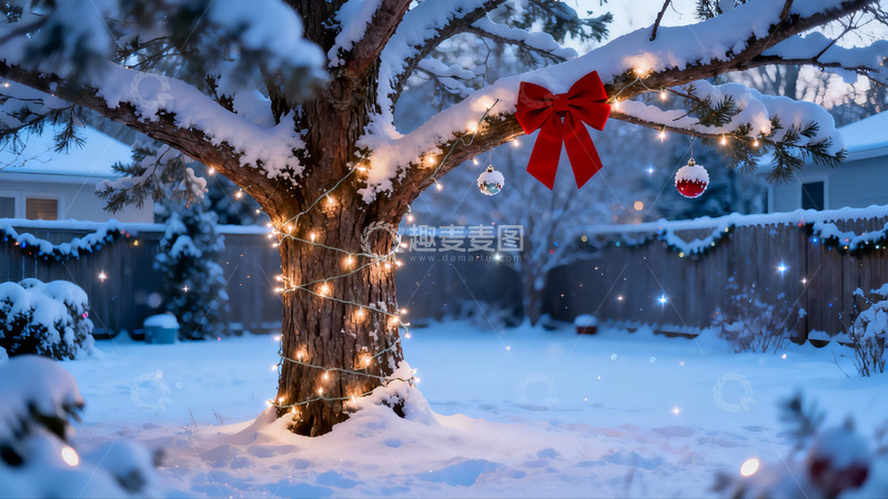 高清大图下载【趣麦麦图】雪夜圣诞树挂彩灯