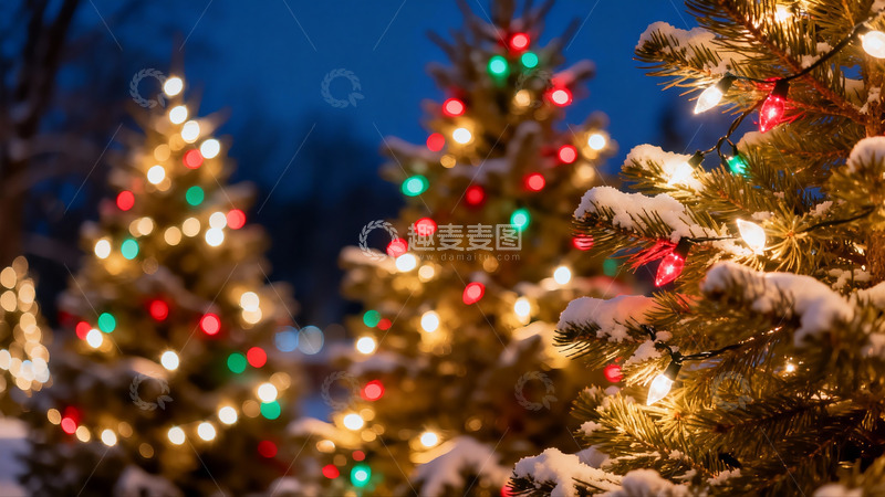高清大图下载【趣麦麦图】雪夜圣诞树灯光闪烁