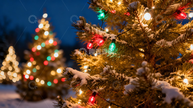 高清大图下载【趣麦麦图】雪夜圣诞树灯光闪烁