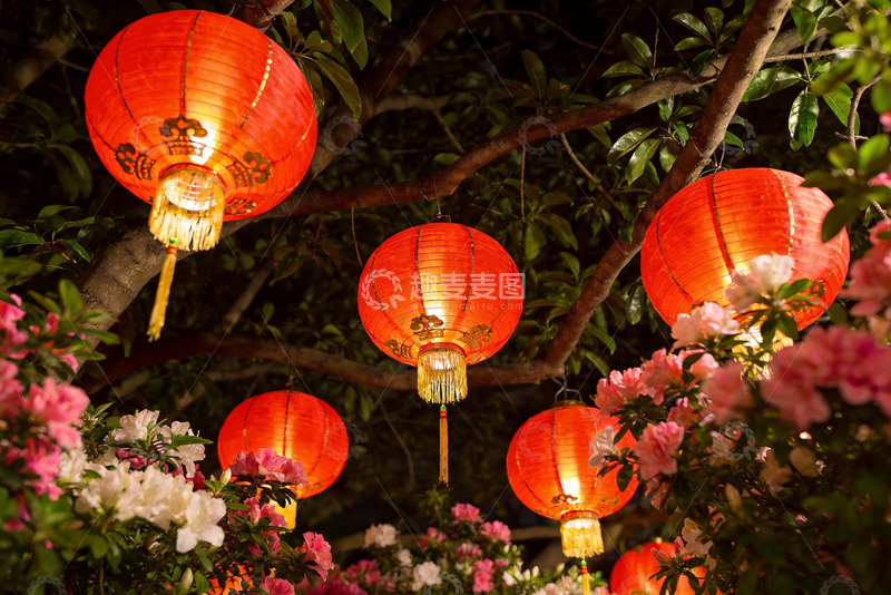 高清大图下载【趣麦麦图】夜色中灯笼与鲜花交相辉映