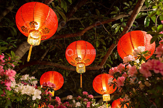 夜色中灯笼与鲜花交相辉映