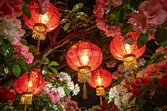 夜色花丛中的红灯笼