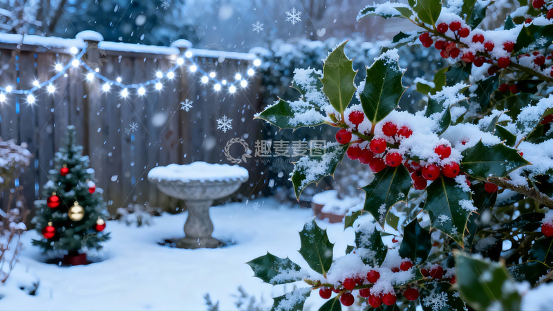 高清大图下载【趣麦麦图】雪夜庭院圣诞装饰