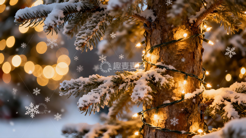 高清大图下载【趣麦麦图】雪夜松树挂灯饰