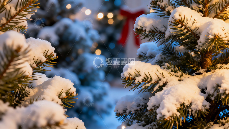 高清大图下载【趣麦麦图】雪覆松枝夜景温馨