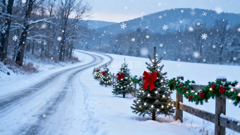 高清大图下载【趣麦麦图】雪景圣诞树小径