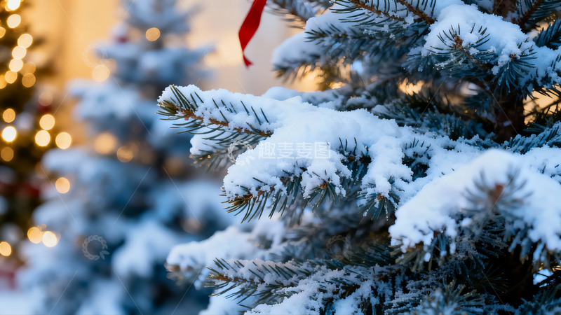高清大图下载【趣麦麦图】雪覆松枝节日氛围浓