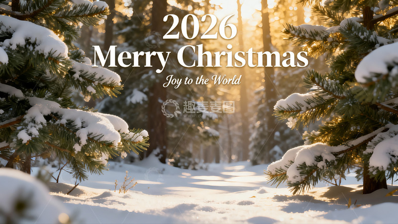高清大图下载【趣麦麦图】雪覆松林圣诞光影