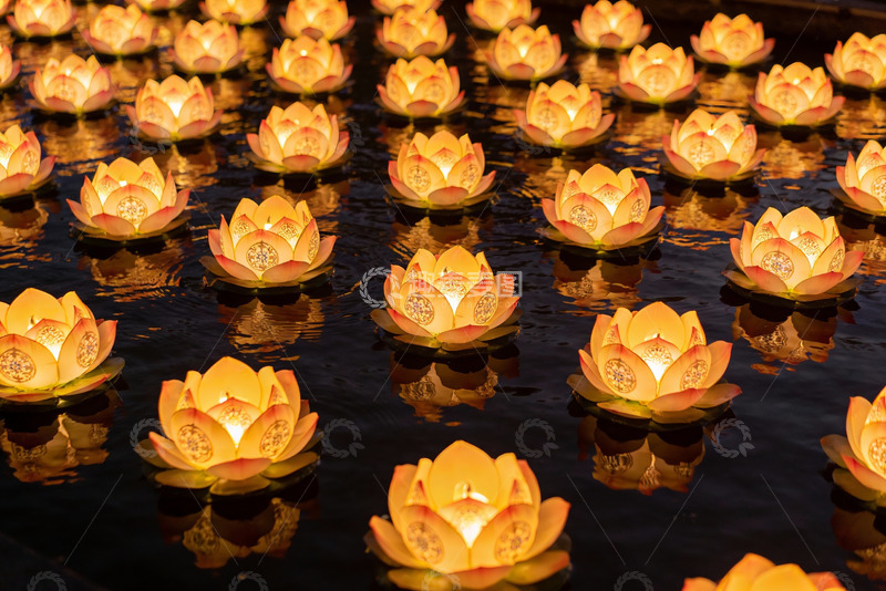 高清大图下载【趣麦麦图】夜色中莲花灯漂浮水面