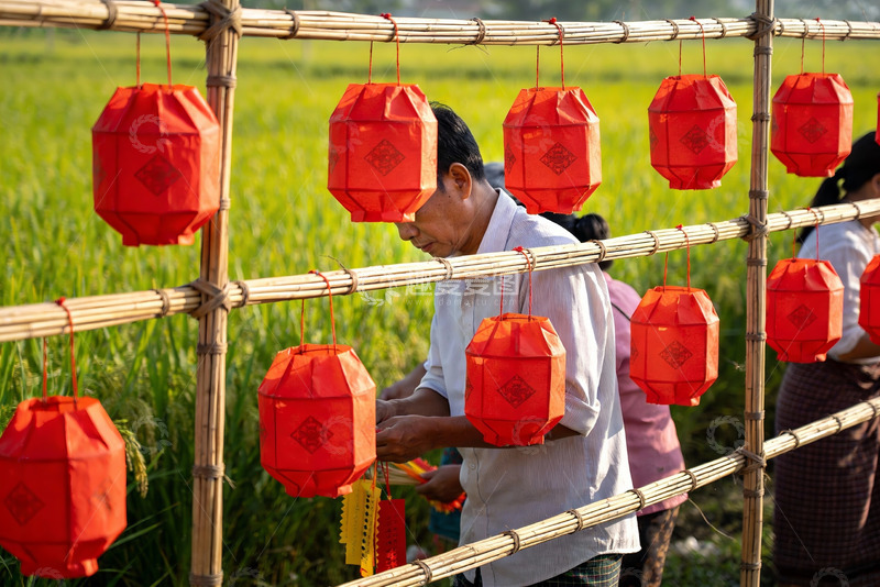 高清大图下载【趣麦麦图】田间竹架挂红灯笼
