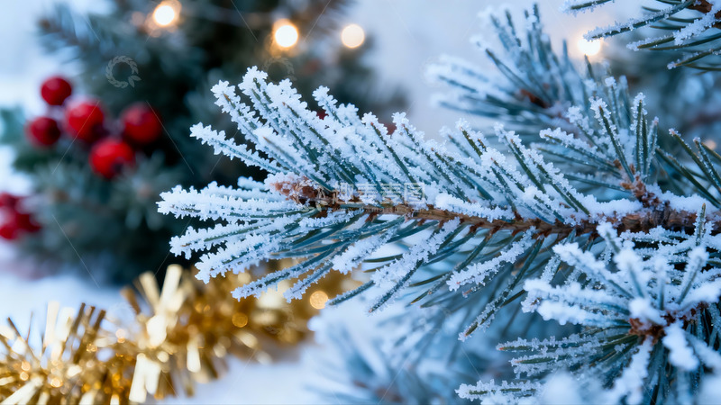 高清大图下载【趣麦麦图】雪覆松枝节日装饰