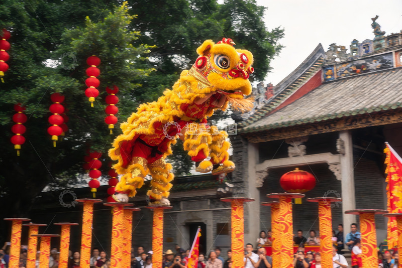 高清大图下载【趣麦麦图】舞狮表演热闹非凡