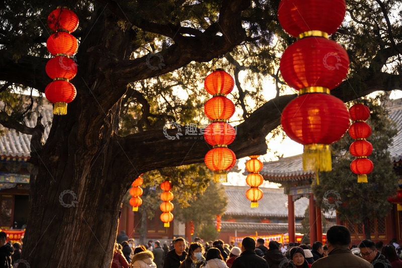高清大图下载【趣麦麦图】古树红灯笼映衬节日人群