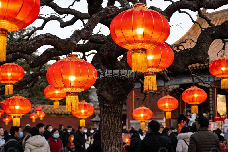 高清大图下载【趣麦麦图】古树红灯笼映衬人群节日氛围