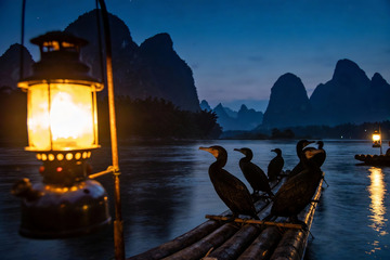 夜幕江上鸬鹚栖息竹筏
